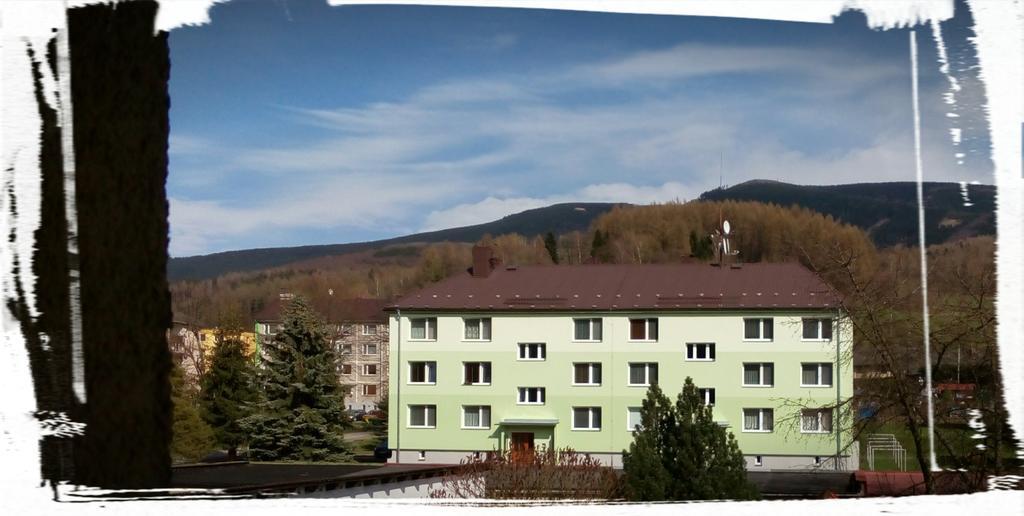 Apartman Loucna Nad Desnou Exterior photo